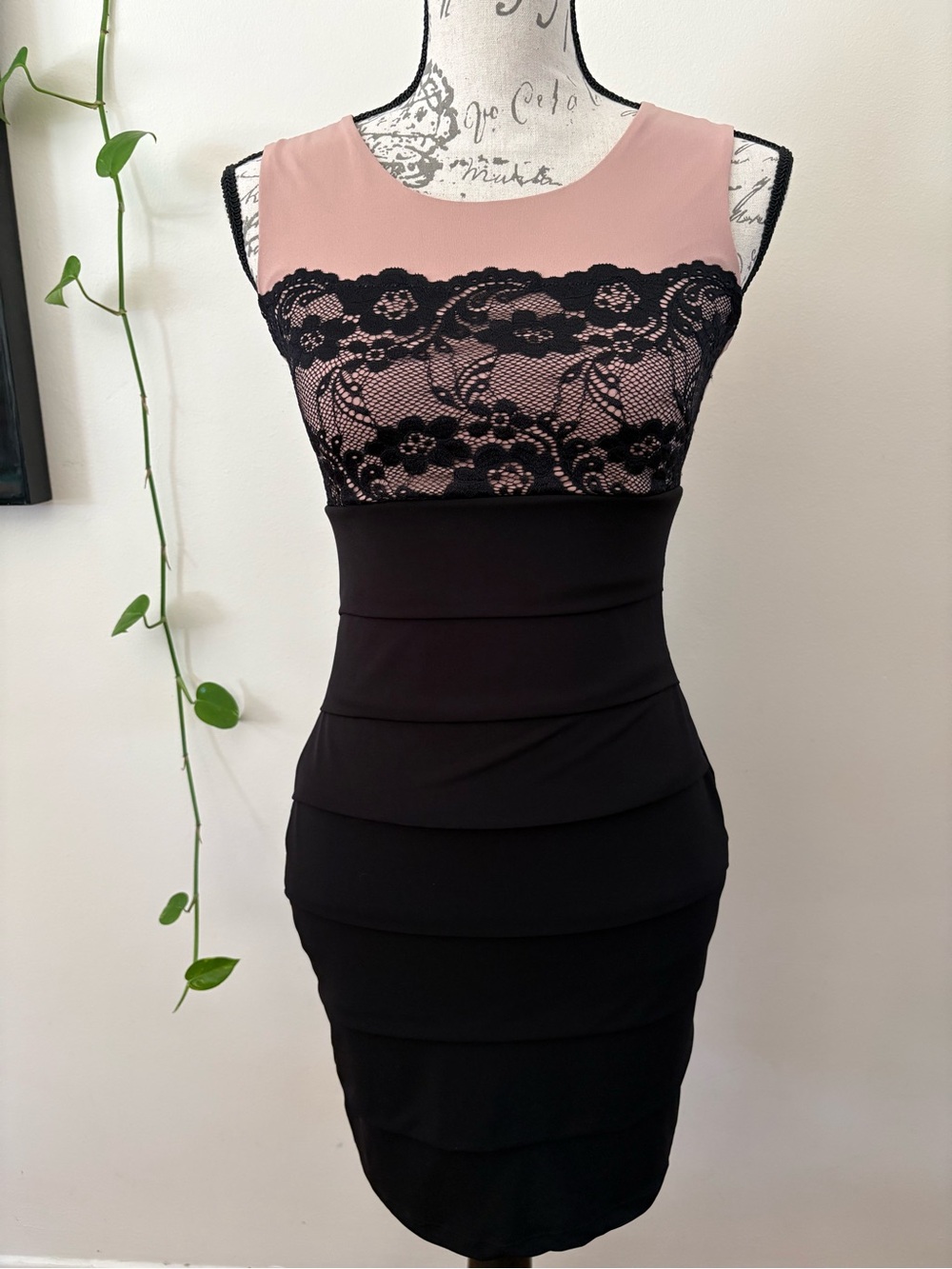 Sweet Storm Pink and Black Lace Bodycon Dress